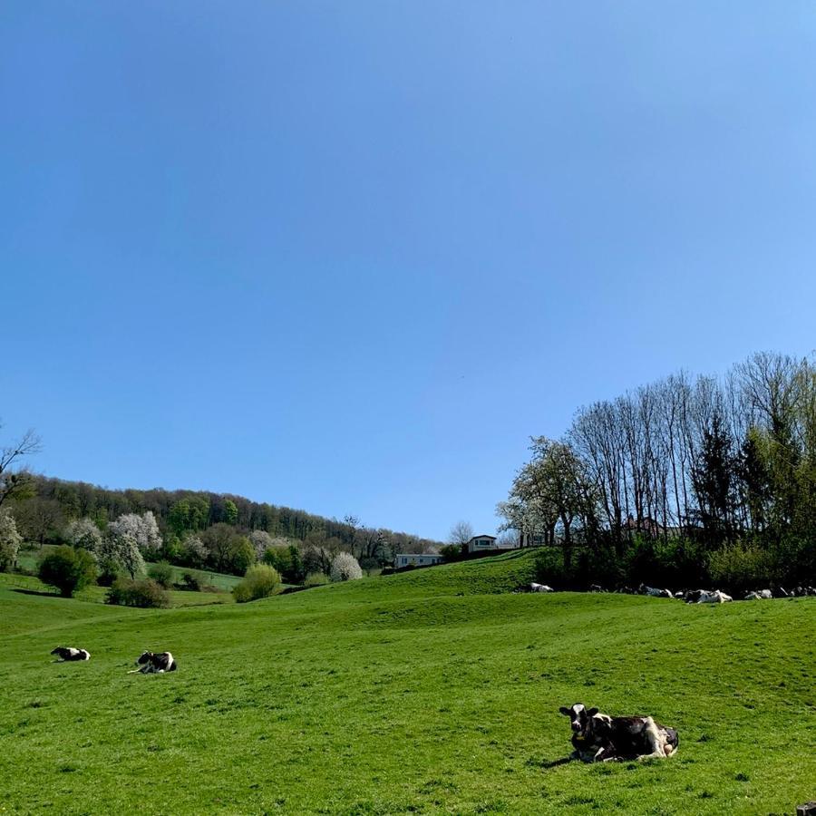 فندق Ingberفي  Hoeve Beusdalshof المظهر الخارجي الصورة